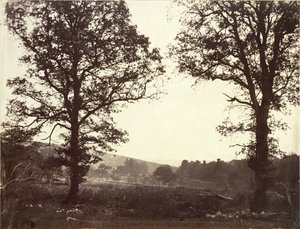 Landschap met iepen, Ashdown, Groot-Brittannië