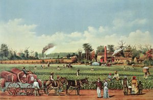 Een katoenplantage aan de Mississippi - de oogst door William Aiken (after) Walker