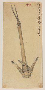 WD 959 sectie 2 f.122