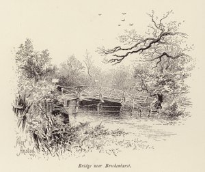 Brug bij Brockenhurst (gravure) door William Alexander Ansted