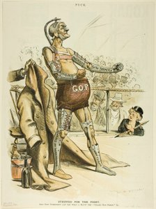 Gestript voor de strijd, van Puck