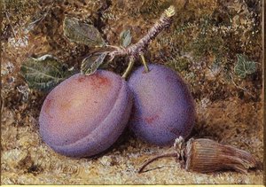 Pruimen en een hazelnoot
