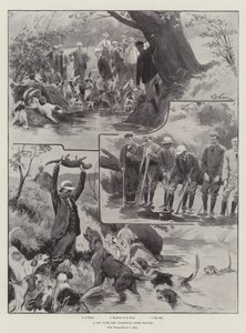 Een Dag met de Culmstock Otter Honden