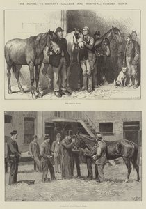 Het Royal Veterinary College en ziekenhuis, Camden Town