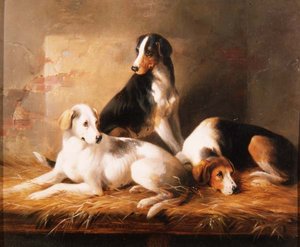 Drie honden in een stal