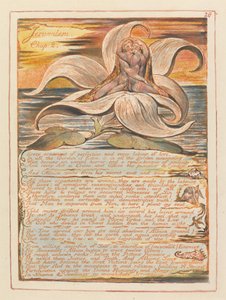 Jeruzalem, Plaat 28, Jeruzalem, Hoofdstuk 2... door William Blake