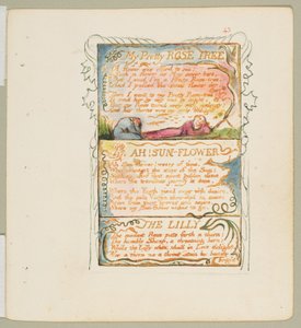 Songs of Innocence and of Experience: My Pretty Rose Tree, Ah! Sun-Flower, The Lily, ca. 1825