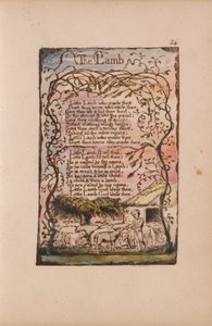 Songs of Innocence and of Experience, Plaat 24, The Lamb (Bentley 8)