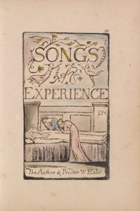 Liederen van Onschuld en Ervaring, Plaat 30, Ervaring Titelpagina (Bentley 29) door William Blake