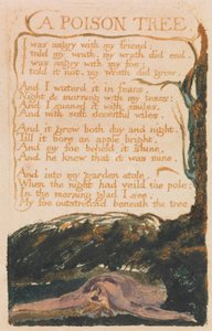 Songs of Innocence and of Experience, Plaat 41, "A Poison Tree" (Bentley 49)