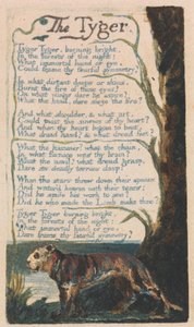 Songs of Innocence and of Experience, Plaat 42, "The Tyger" (Bentley 42)