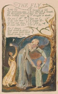 Songs of Innocence and of Experience, Plaat 48, "De Vlieg" (Bentley 40)