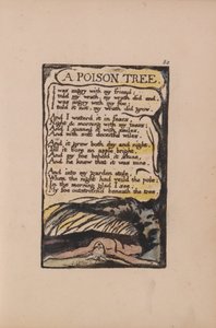 Liederen van Onschuld en Ervaring, Plaat 50, Een Gifboom (Bentley 49) door William Blake