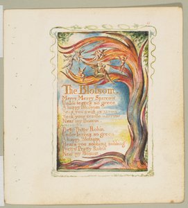 Songs of Innocence and of Experience: The Blossom: Merry Merry Sparrow