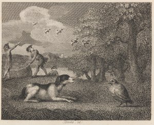 De Staande Hond en de Patrijs