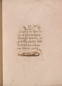 Er is geen natuurlijke religie, Plaat 11, II Rede of de ratio.... (Bentley b4) door William Blake
