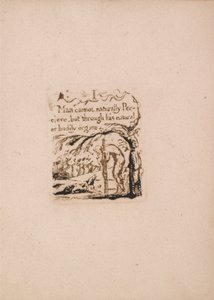 Er is geen natuurlijke religie, Plaat 3, I De mens kan niet van nature.... (Bentley a4) door William Blake