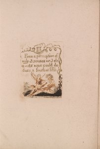 Er Is Geen Natuurlijke Religie, Plaat 5, III Van een Waarneming.... (Bentley a6) door William Blake