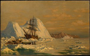 Een incident tijdens de walvisvangst door William Bradford