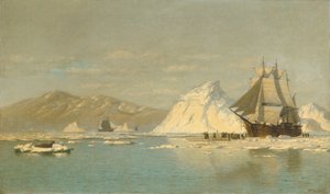 Bij Groenland—Walvisvaarder op zoek naar open water
