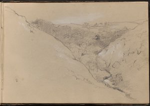 Landschap met heuvels en bos