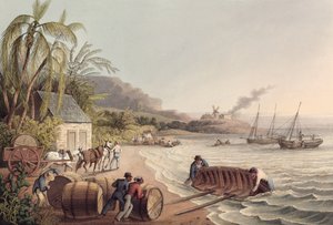 Laden van vaten rum en suiker, Antigua