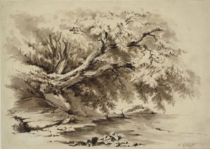Landschap met bomen die over een meer hangen door William Collingwood Smith