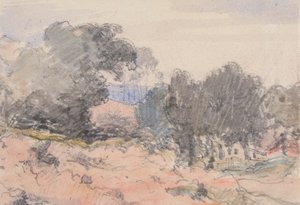 Landschap: huis en bomen door William Collins