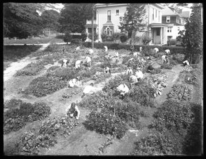 Hooghoekopname van kinderen die werken in de tuin bij de Poppenhusen-vestiging van de Queens Borough Public Library, 14 augustus 1915