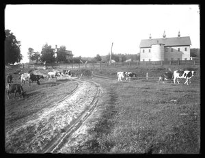 De boerenschuur van de McCready boerderij en Thomas woning, Pennsylvania, c.1913