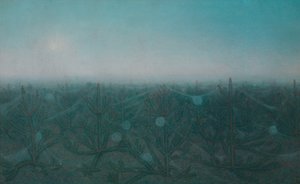 Dawn
