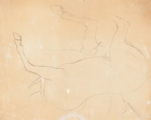 Studie van een Paard (verso)