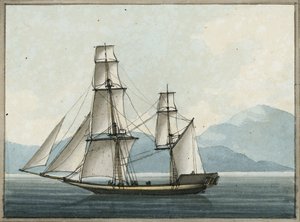 De Bombay Grab