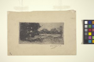 Landschap