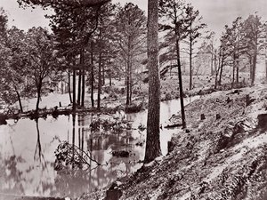 Broadway Landing, Appomattox River door William Frank Browne