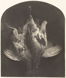 Een Paar Korhoenders door William Frederick Lake Price