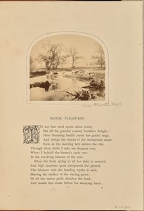 [Pastorale scène met vee in een overstroomd veld, Engeland].
