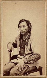 Grijze wolf,jaren 1860 (foto) door William Gunnison Chamberlain