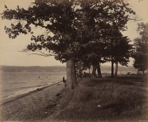 Cayuga Meer, Sheldrake