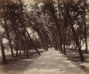 Picknickplaats