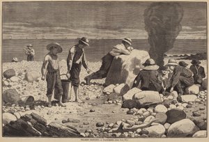 Schetsen aan Zee - Een Clam-Bake