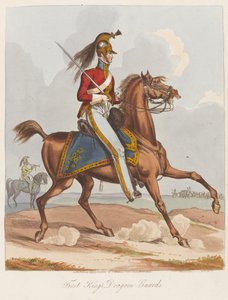 Eerste Konings Dragonders, 1820