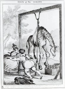 Staat van de giraffe, 1829 door William Heath
