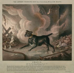 De hond van de Londense brandweerman