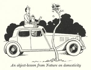 Een les van de natuur over huiselijkheid (litho)