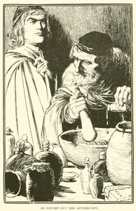Hij zocht de apotheker op