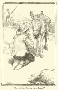 Illustratie voor Don Quichot door William Heath Robinson