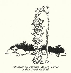 Intelligente Samenwerking Onder Schildpadden bij hun Zoektocht naar Voedsel door William Heath Robinson