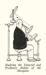 De Asociale en Roofzuchtige Gewoonten van de Mug Bestuderen (litho) door William Heath Robinson