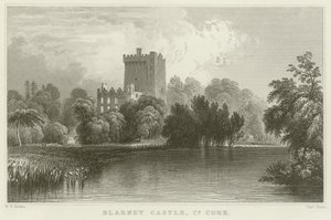 Blarney Castle in County Cork door William Henry Bartlett